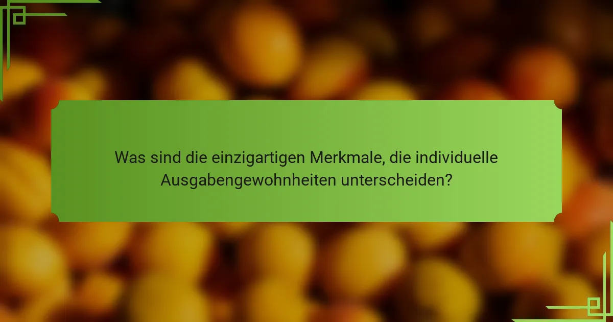 Was sind die einzigartigen Merkmale, die individuelle Ausgabengewohnheiten unterscheiden?
