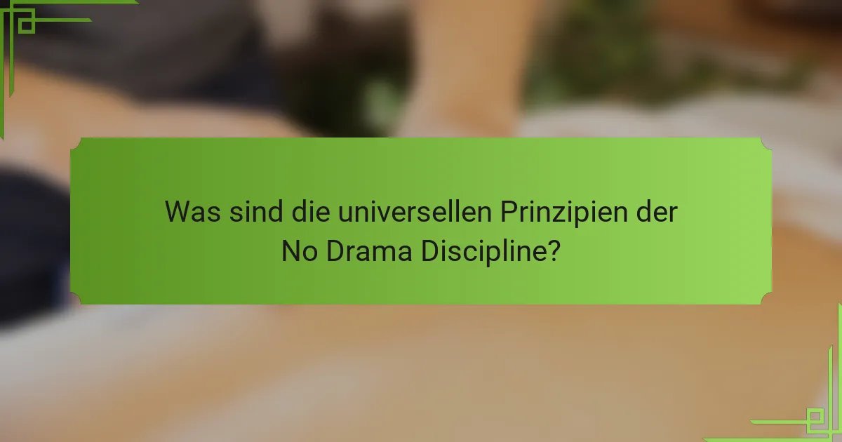 Was sind die universellen Prinzipien der No Drama Discipline?