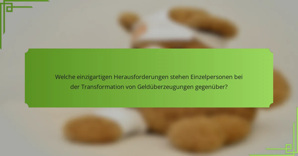 Welche einzigartigen Herausforderungen stehen Einzelpersonen bei der Transformation von Geldüberzeugungen gegenüber?